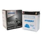 Аккумулятор Dynavolt DB12AL-A2, 12V, DRY