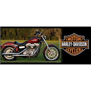 Мотокружка Harley-Davidson