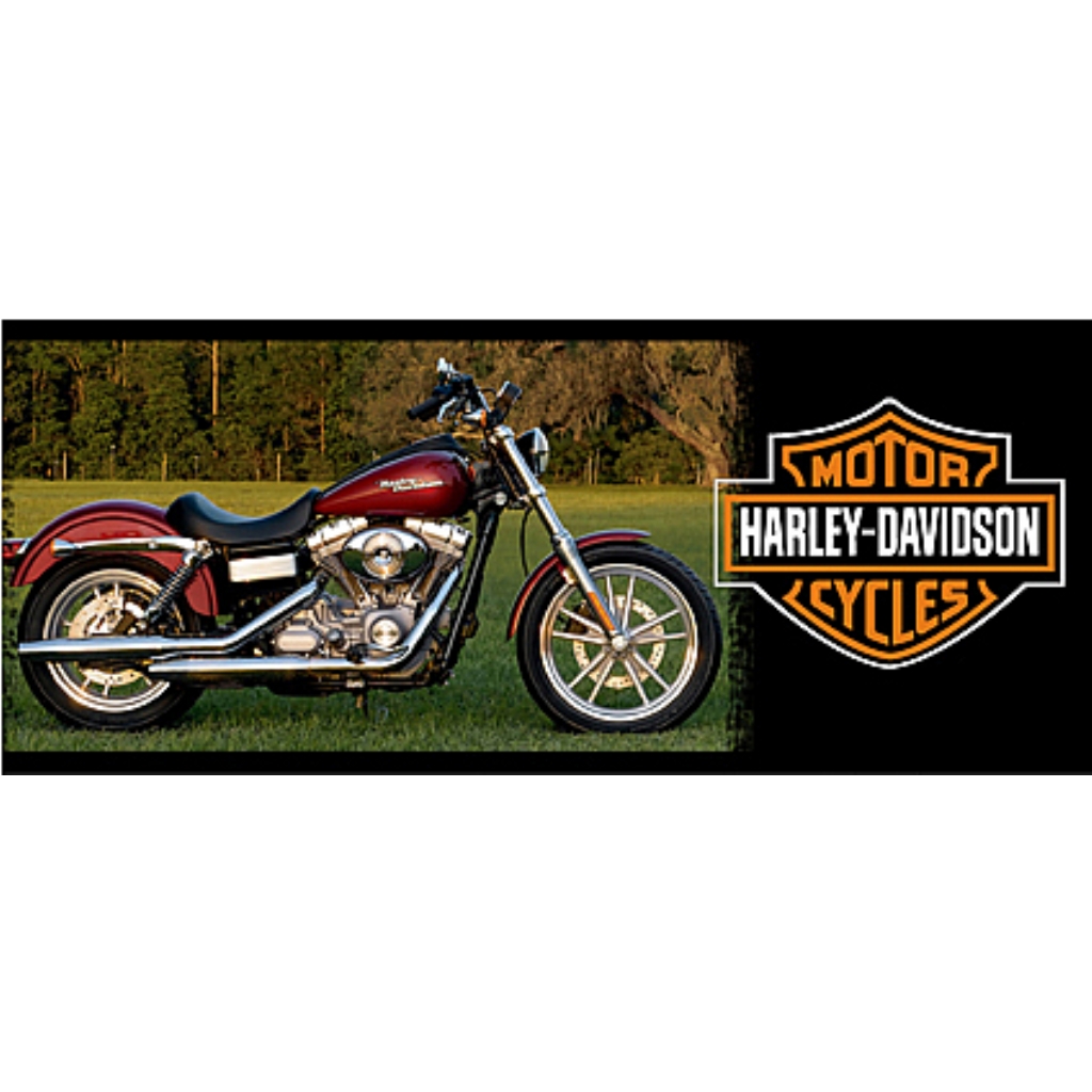 MTR Мотокружка Harley-Davidson